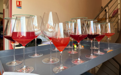 les fermentations sont en cours dans le vignoble