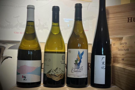 cours de degustation